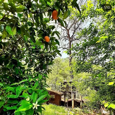 Ubytování v soukromí Olympos Altaris Antalya