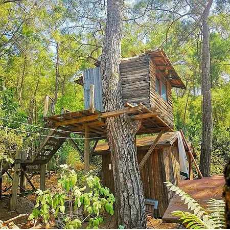 Olympos Altaris *