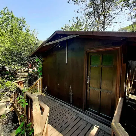 Olympos Altaris Homestay *
