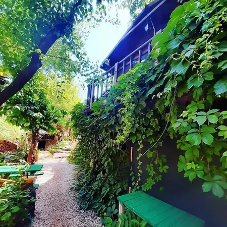 Olympos Altaris Homestay *