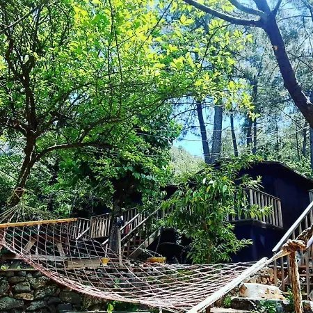 Olympos Altaris Antalya
